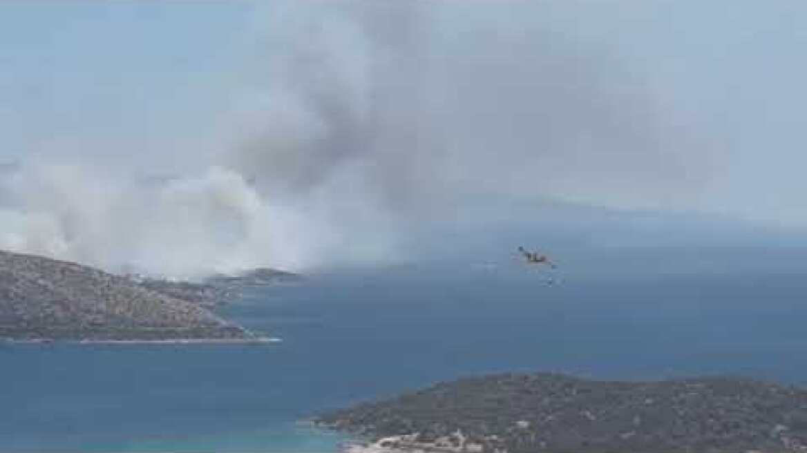 Φωτιά τώρα στην Παλαιά Φώκαια (5)