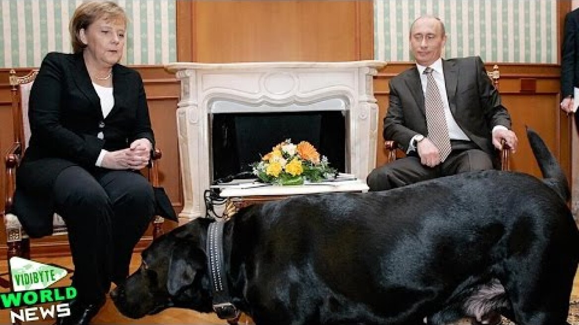 Vladimir Putin: I Didn't Mean to Scare Angela Merkel with Dog