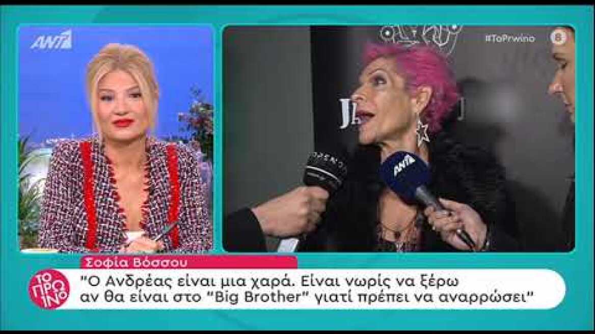 Η Σοφία Βόσσου μιλάει για τον Ανδρέα Μικρούτσικο
