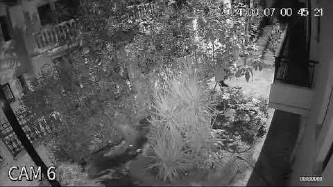 Τρόμος στον Διόνυσο: Κουκουλοφόροι μπουκάρουν σε σπίτια αγνοώντας συναγερμούς και γαβγίσματα