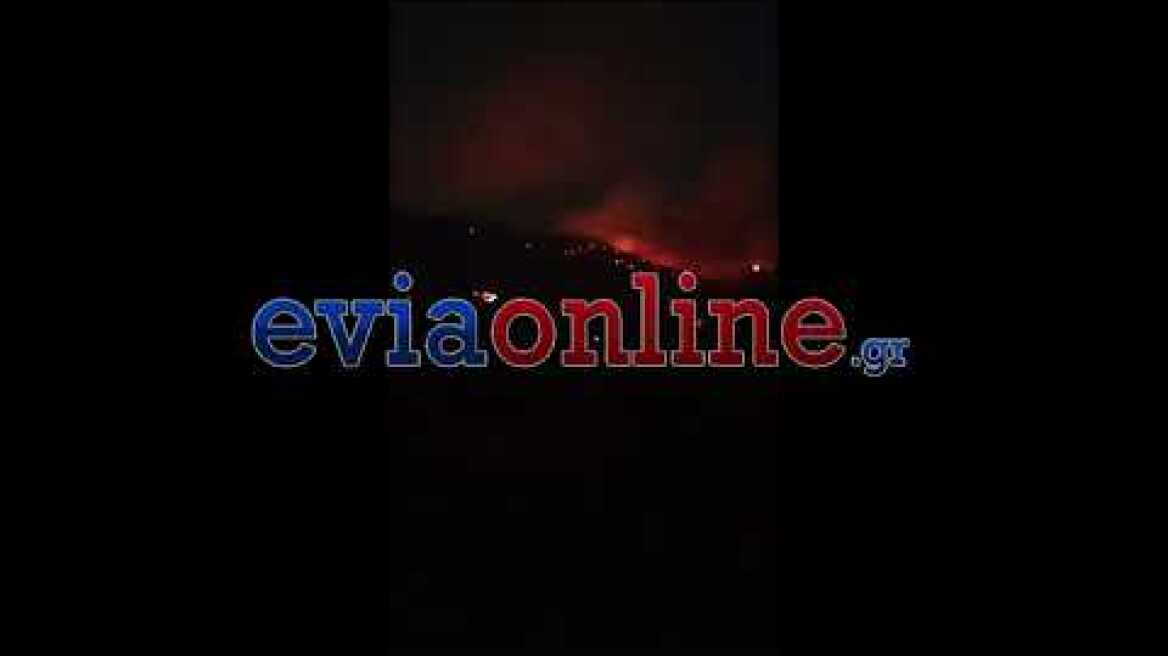 Επιχειρούν εναέρια μέσα στη φωτιά στα Μεσοχώρια της Εύβοιας: Νέο μήνυμα του 112 για εκκένωση του Λιμνιώνα, κοντά σε σπίτια οι φλόγες Δήμος Καρύστου: Συνεχίζεται και τη νύχτα η μάχη με τις φλόγες 4