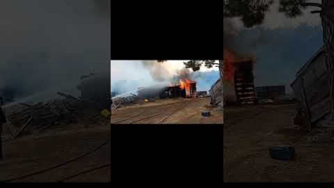 Φωτιά έκαψε μαντρί και ζώα στη Λευκίμη Σουφλίου