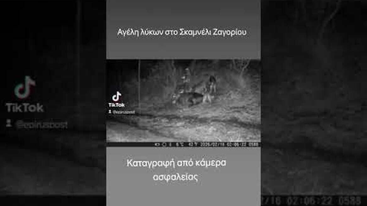 17 Φεβρουαρίου 2026