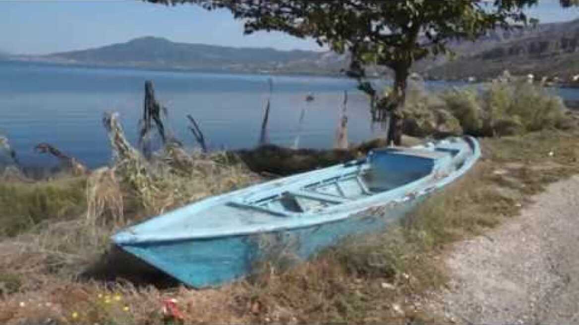 OI AΡΑΧΝΕΣ ΤΟΥ ΑΙΤΩΛΙΚΟΥ, ένα περίεργο φαινόμενο