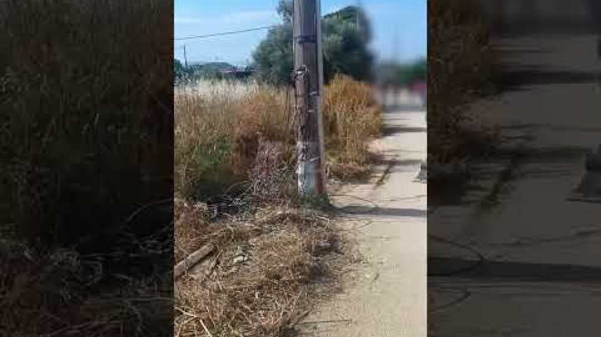 Ειδική αστυνομική επιχείρηση της Διεύθυνσης Αστυνομίας Βορειοανατολικής Αττικής/Γ.Α.Δ.Α.