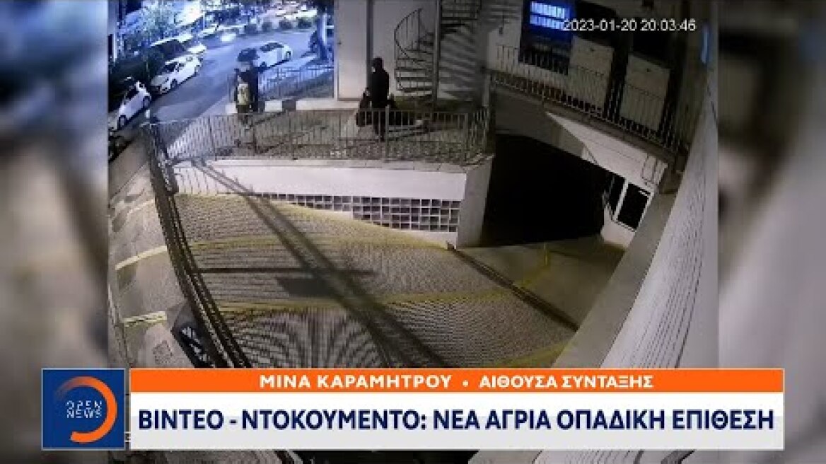 Βίντεο - ντοκουμέντο: Νέα άγρια οπαδική επίθεση
