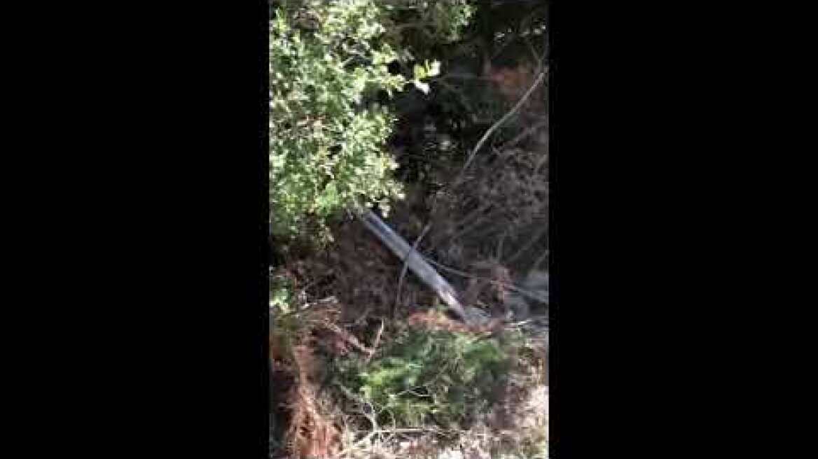 Συνελήφθησαν 3 μέλη εγκληματικής οργάνωσης για την καλλιέργεια δενδρυλλίων κάν ναβης