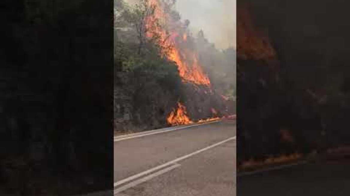 Φωτιά στο Σοφικό Κορινθίας