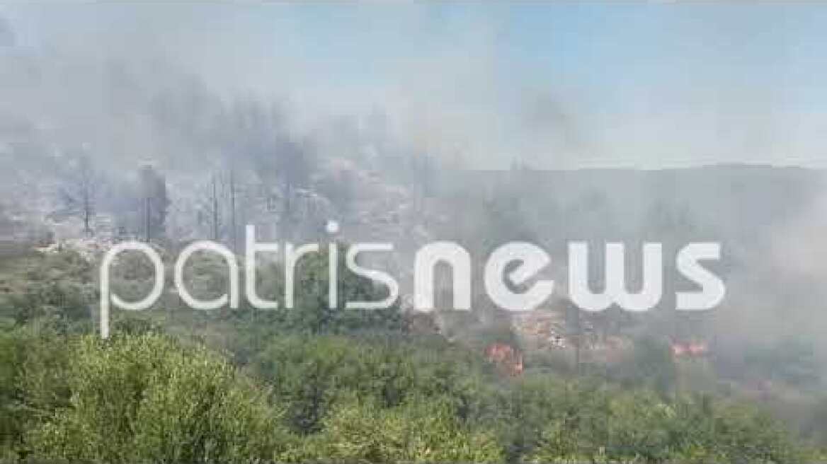 Φωτιά Καλυβάκια Ηλείας