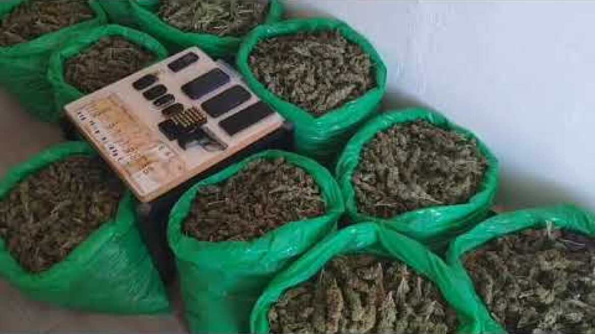 Συνελήφθησαν 4 μέλη κυκλώματος που δραστηριοποιείται στην κατοχή και διακίνηση κάνναβης στο Ρέθυμνο