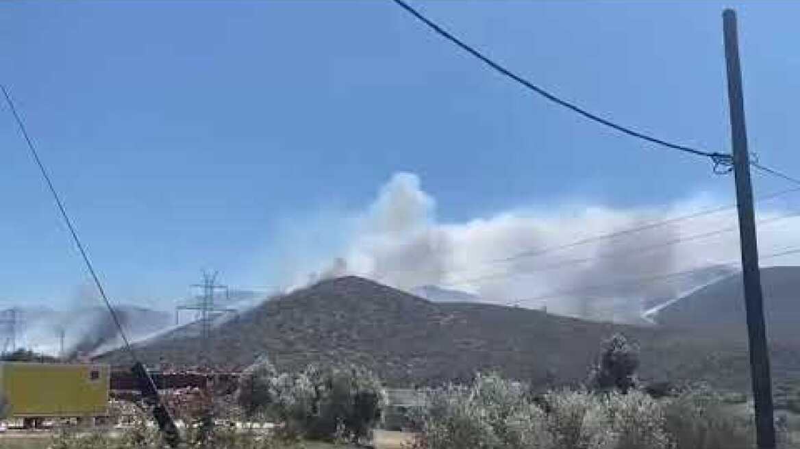 Μεγάλη φωτιά κοντά σε σπίτια στον Κουβαρά Αττικής (3)
