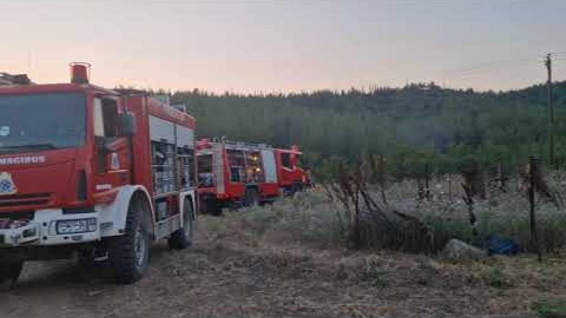 Φωτιά στο Σέιχ Σου (2)
