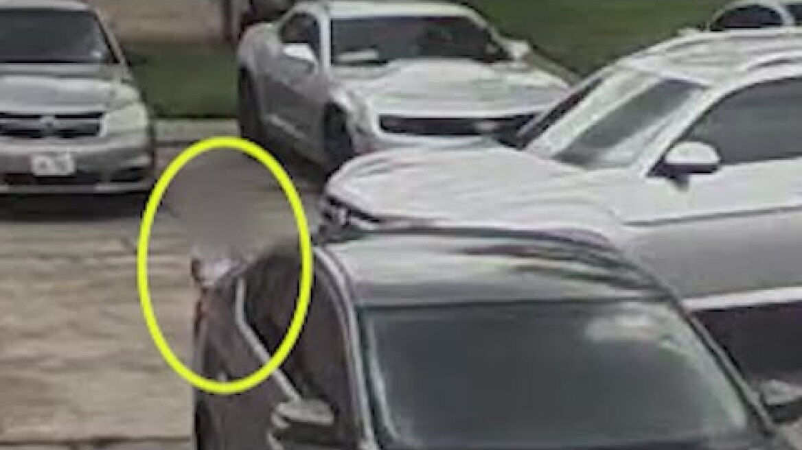 Video shows what happened just before toddler was hit, killed by Uber driver