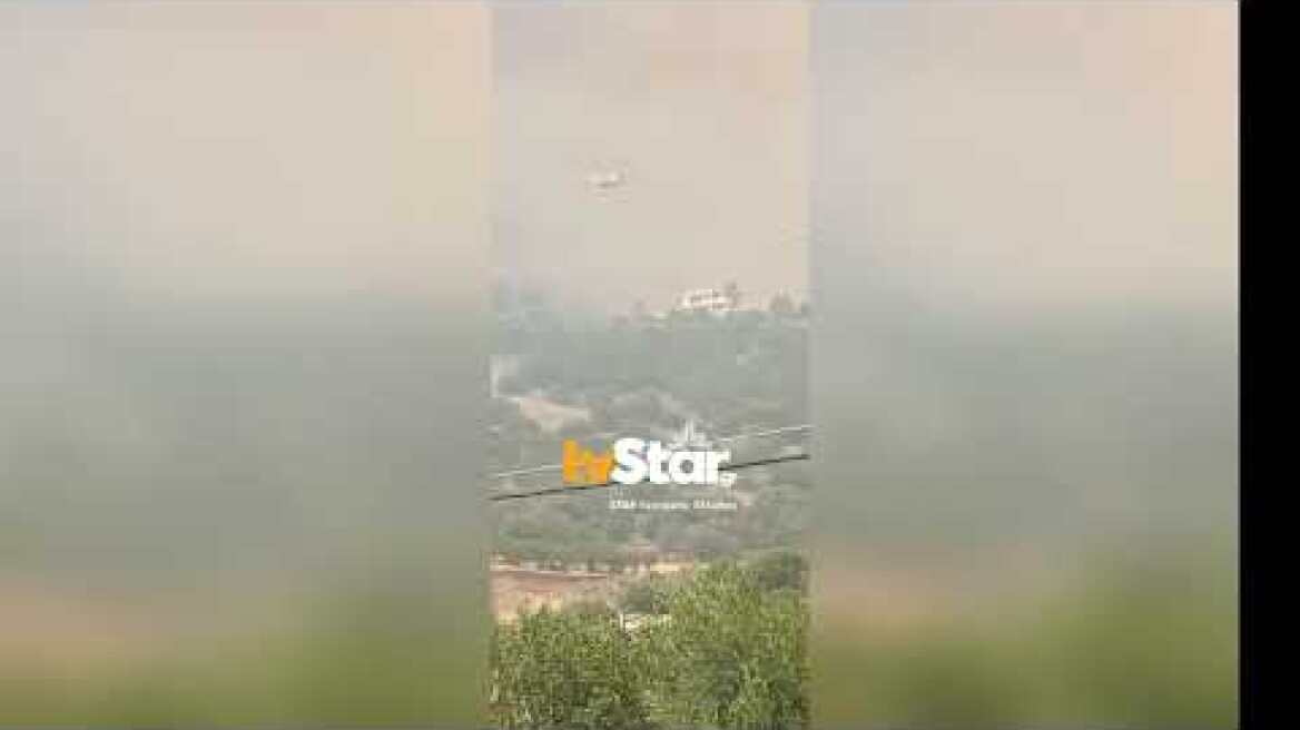 Καίγονται τώρα οι Ροβιές στην Εύβοια