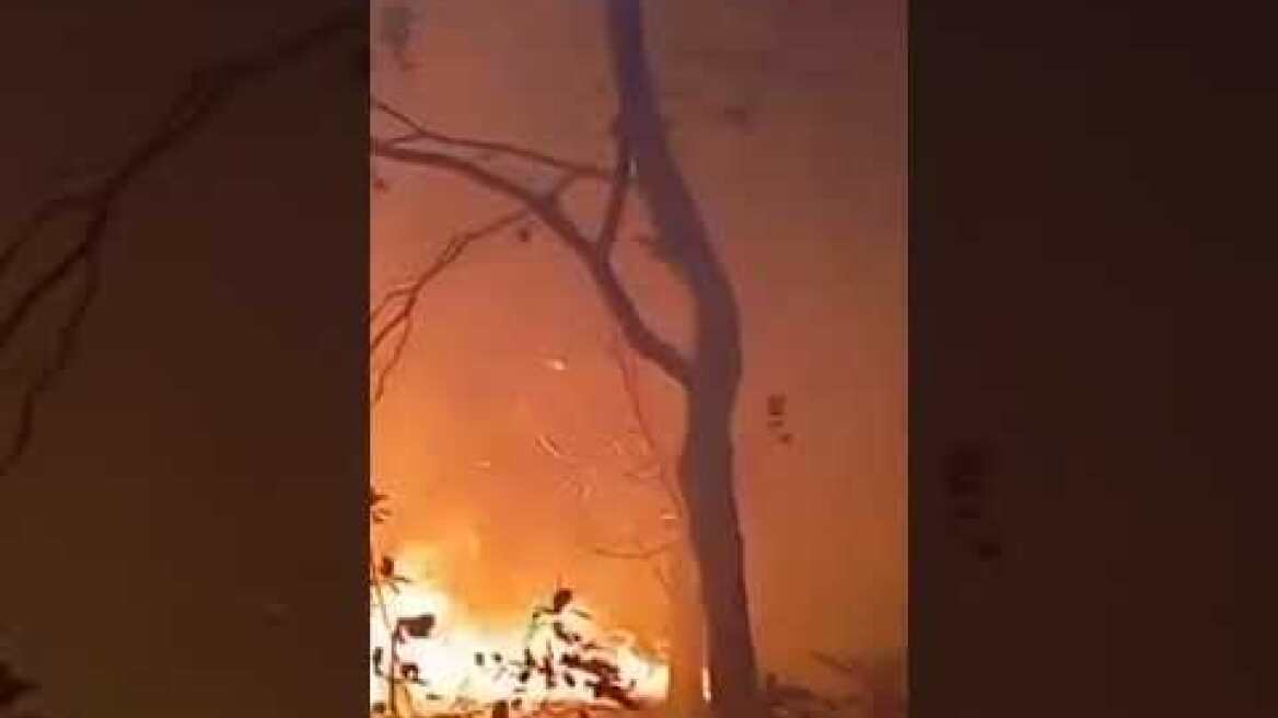 Footage from Cuntis Municipality shows wildfires raging through a Spanish forest