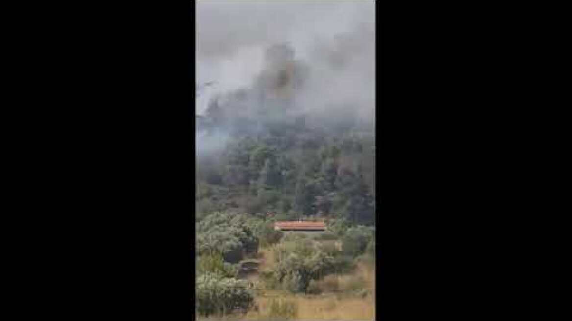 Φωτιά στο Πικέρμι