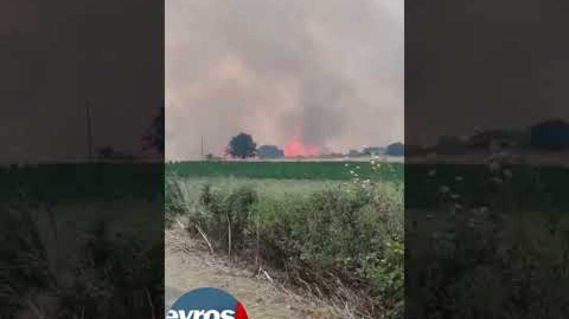 Δωρικό η φωτιά βρίσκεται πίσω από τα σπίτια