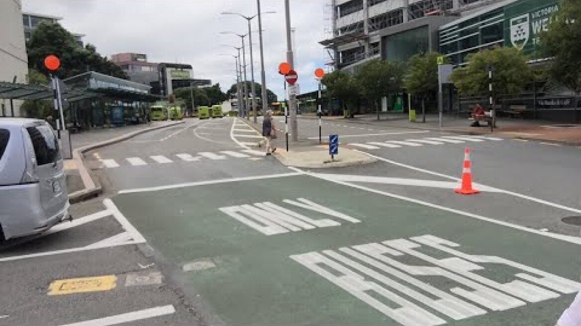 Freedom Convoy 2022 -  New Zealand : Live