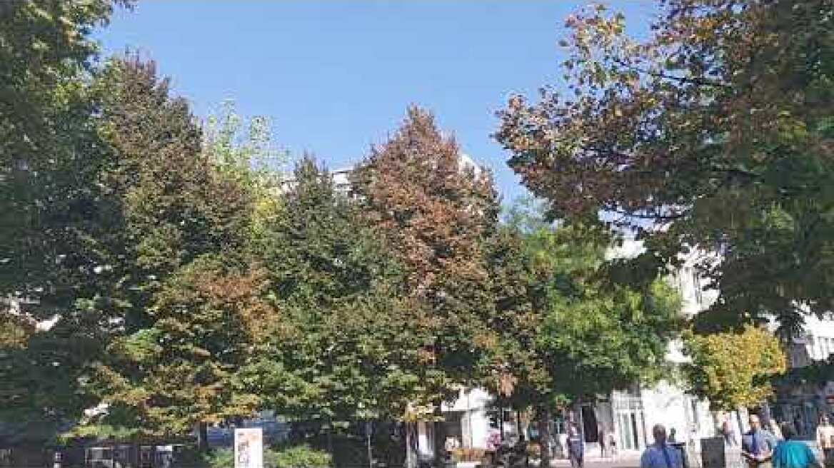 Ήχησαν οι σειρήνες στη Λάρισα