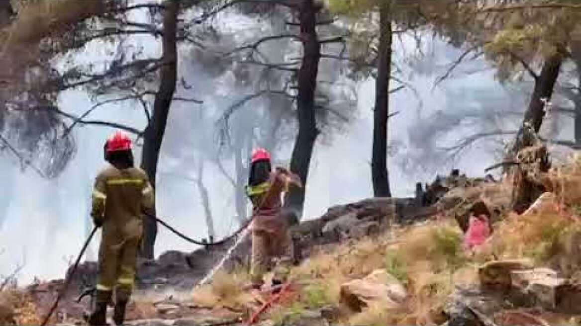 Φωτιά στη Σταμάτα