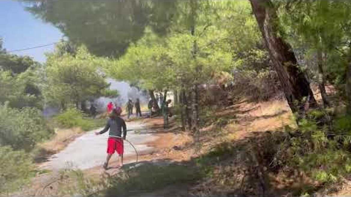 Φωτιά Διώνη (1)