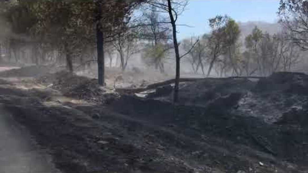 Oδοιπορικό στα καμμένα στο χωριό Μακρυμάλλη