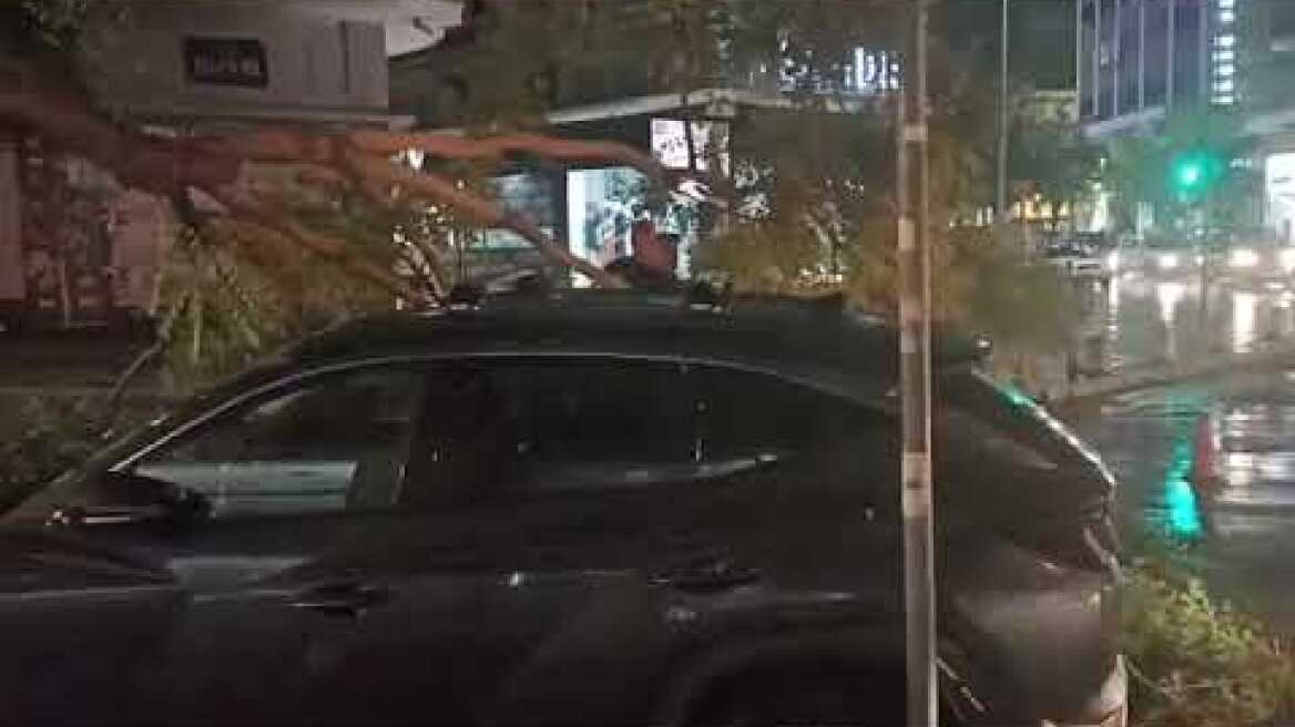 Πτώση δέντρου σε αυτοκίνητο μετά το μπουρίνι στη Θεσσαλονίκη