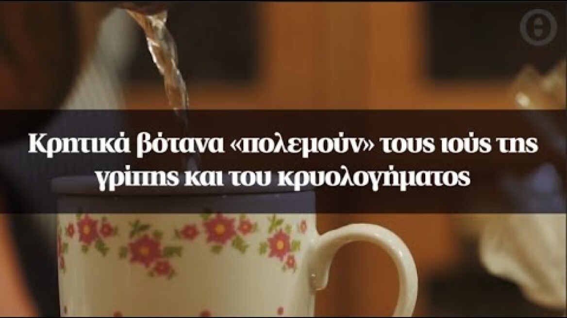 Κρητικά βότανα «πολεμούν» τους ιούς της γρίπης και του κρυολογήματος