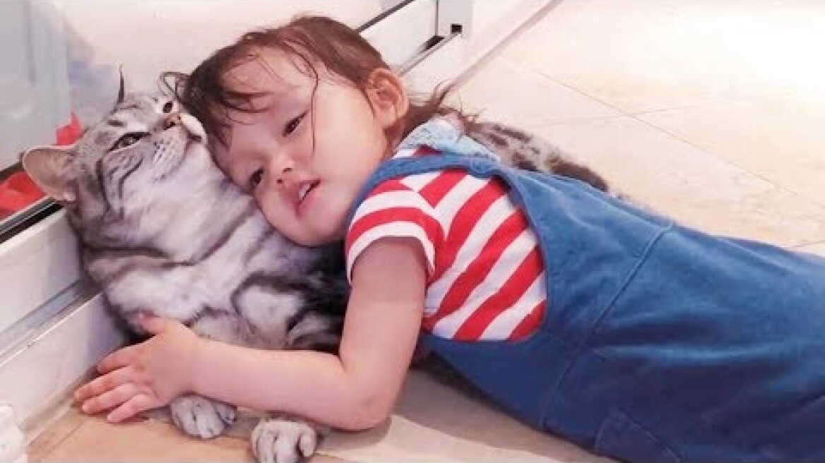 Τα πιο γλυκά γατάκια