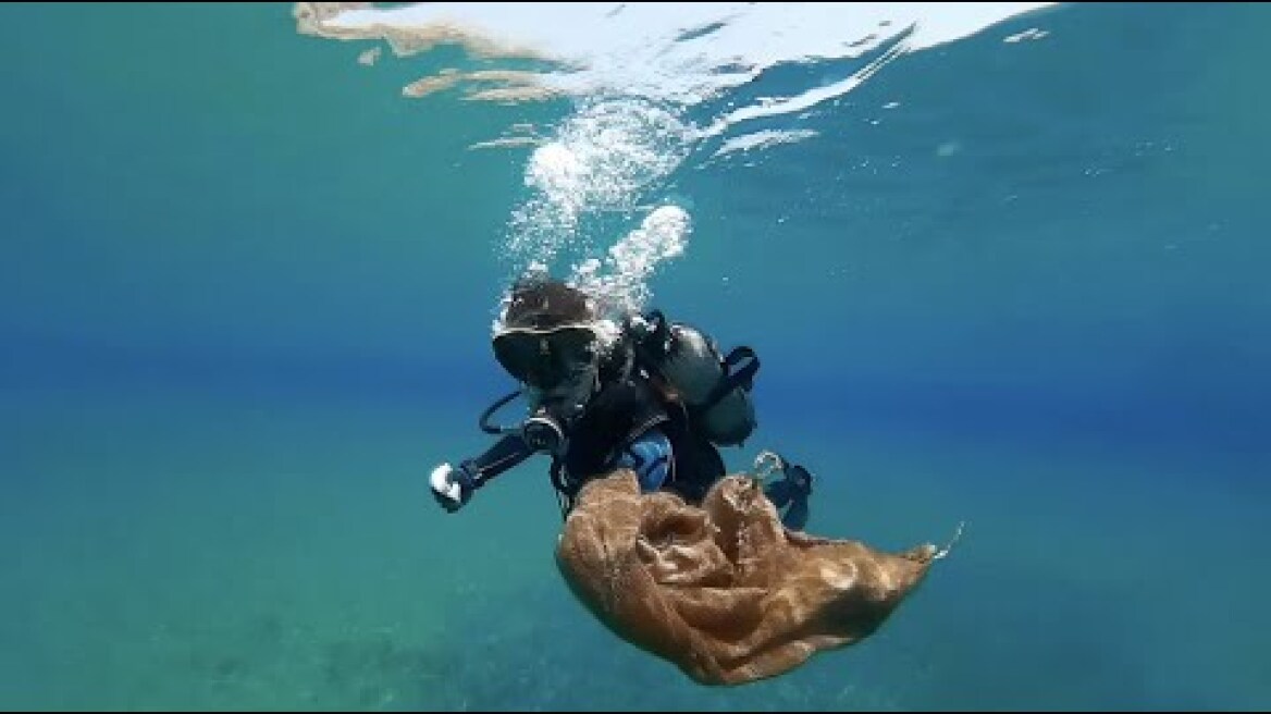 Underwater Cleanups Recap Video 2021 | ACLCF