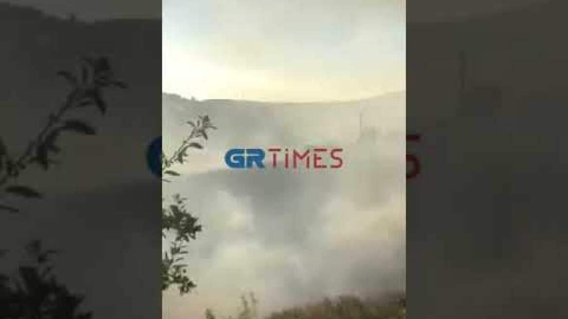 Φωτιά στη Γαλήνη Ωραιοκάστρου