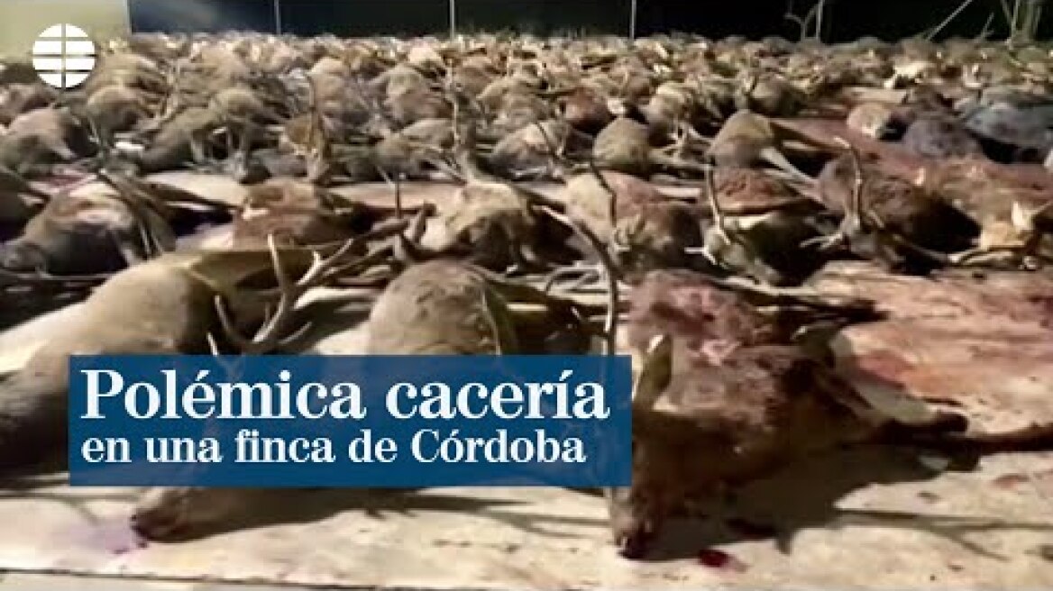 Έσφαξαν 450 ελάφια και αγριογούρουνα σε ιδιωτικό κτήμα