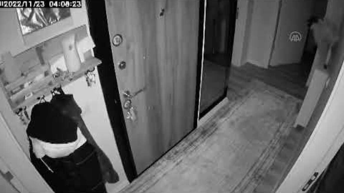 DÜZCE - Deprem sırasında bir evdeki kedinin kaçma anı güvenlik kamerasına yansıdı