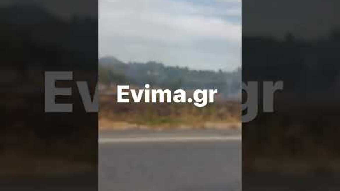 Φωτιά στην Εύβοια