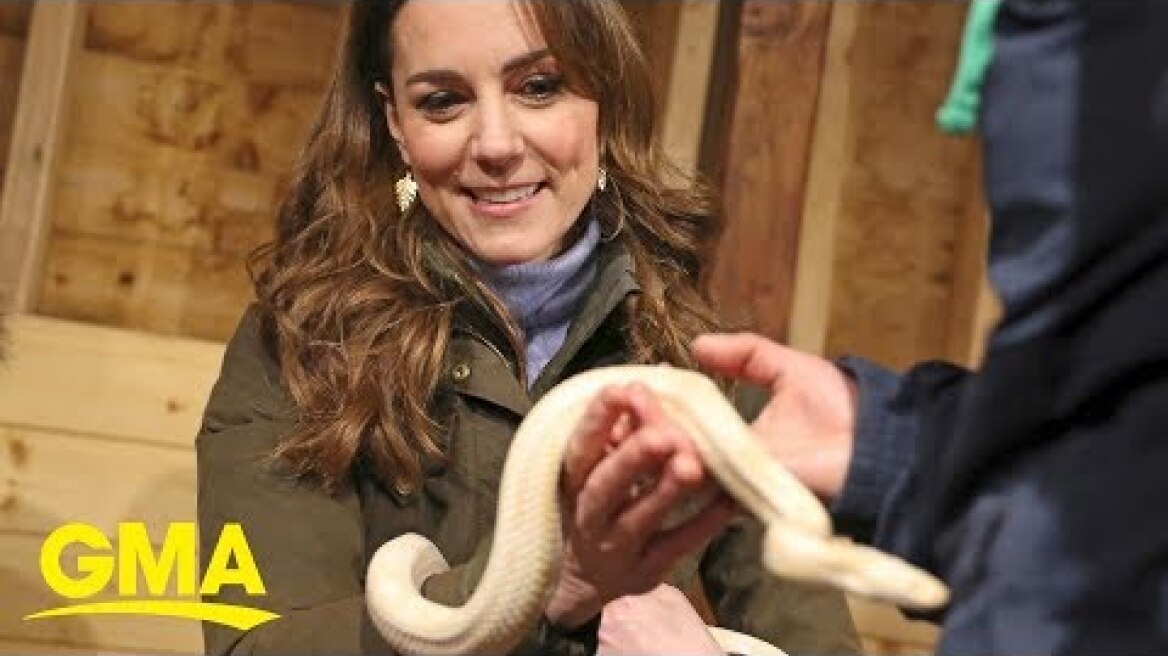 Kate Middleton held a yellow snake during her trip to Northern Ireland | GMA
