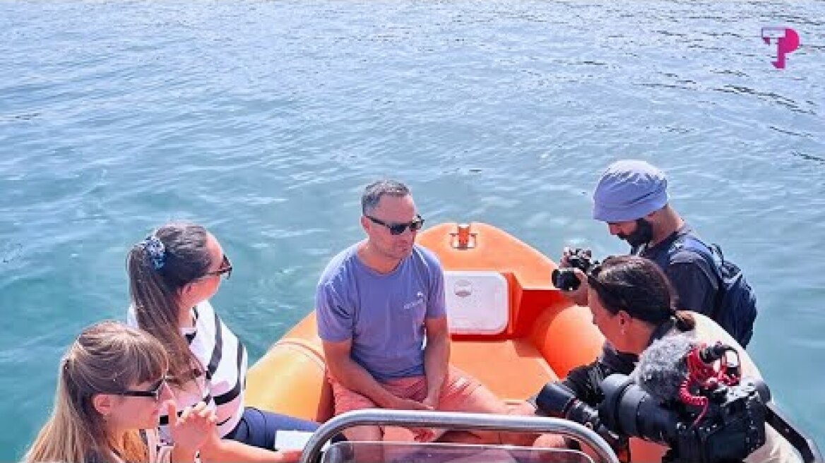 Protecting the ‘Lungs of the Sea’ | Join Us in Safeguarding Posidonia Meadows with TP in Greece!