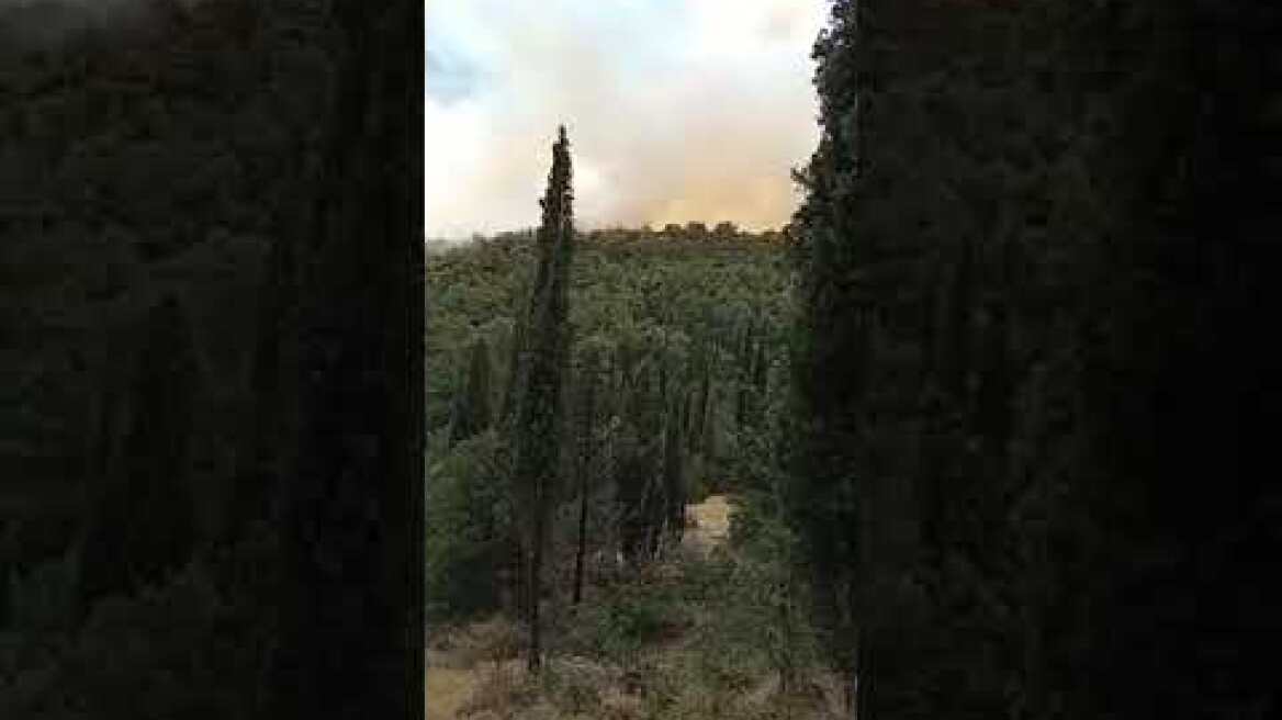 Φωτιά στα Γλυκά Νερά (4)