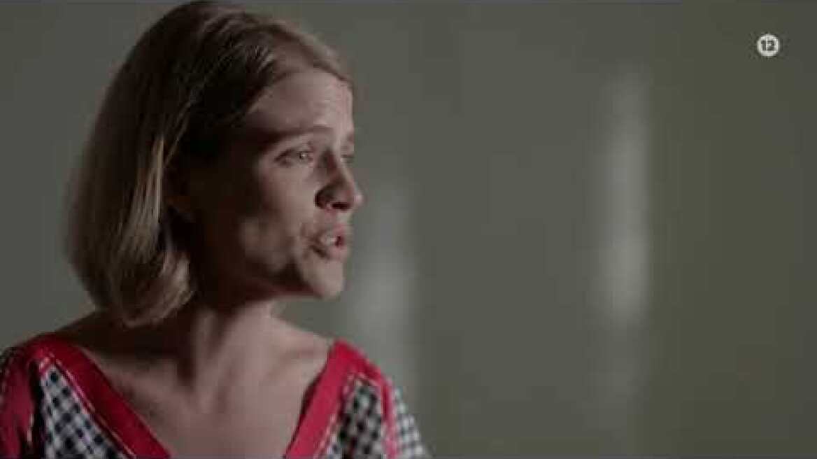 ΑΓΡΙΕΣ ΜΕΛΙΣΣΕΣ - Β Κύκλος