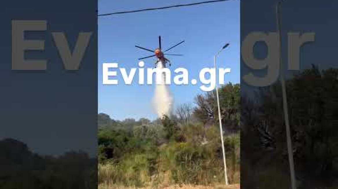 Φωτιά στον Αλμυροπόταμο