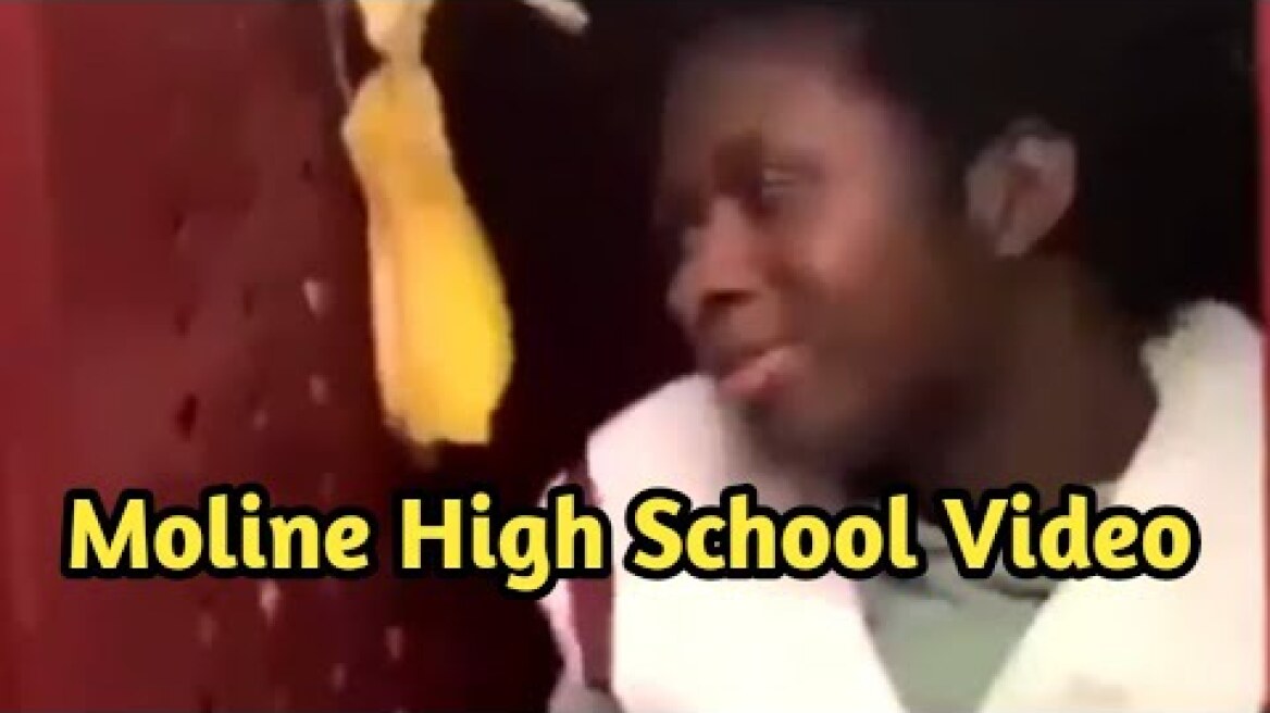 Moline High School Video || What happened in Moline High School Video