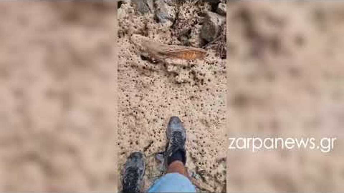 Η στιγμή που τουριστες περιμένουν να βγουν από το φαράγγι της Σαμαριάς