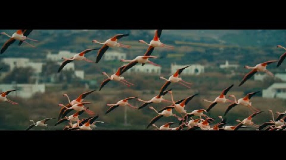 Laguna Coast_A Different World_The Documentary