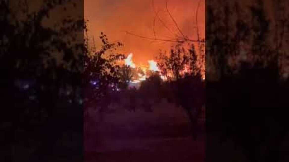 Ωρωπός - Φωτιά (3)