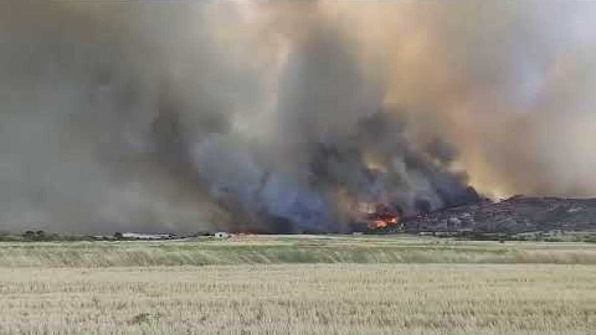 Φωτιά στην Αλεξανδρούπολη 1