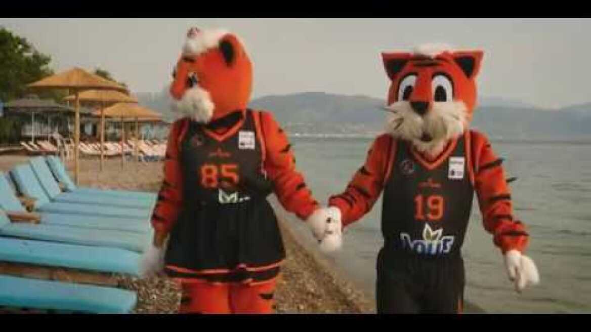 Ένας Τίγρης στην ταβέρνα