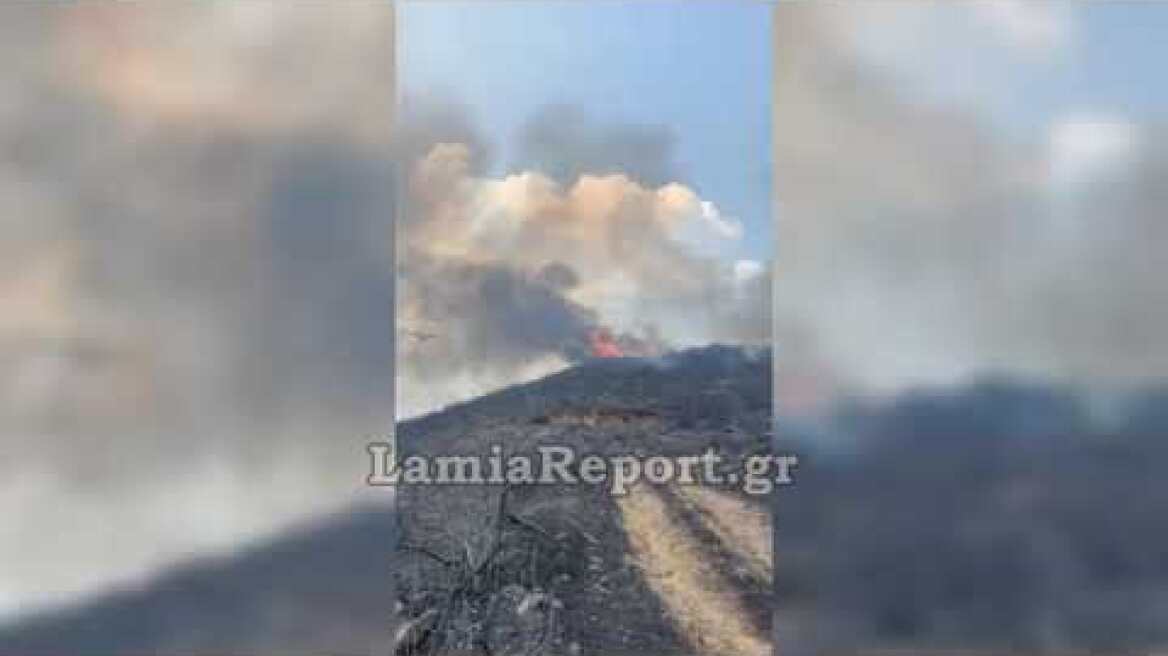 LamiaReport.gr: Canadair και PZL στη μάχη με τις φλόγες στη Βίτωληη