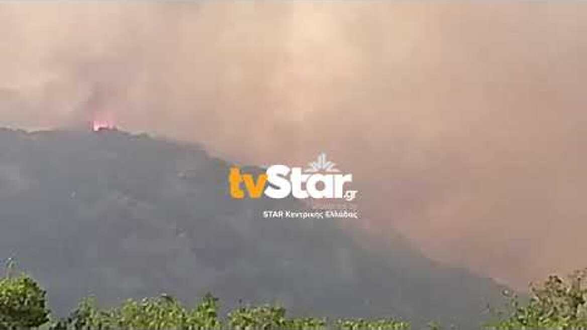 Μεγάλη φωτιά στο Λογγίτσι του δήμου Στυλίδας