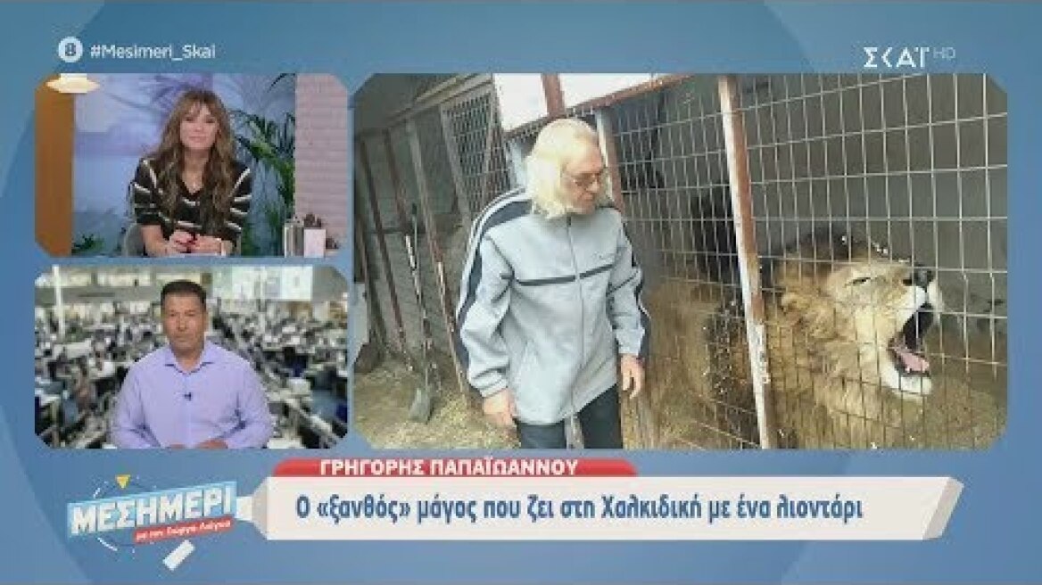 Μεσημέρι με τον Γιώργο Λιάγκα | Ο "ξανθός" μάγος που ζει στη Χαλκιδική με ένα λιοντάρι | 05/11/2019