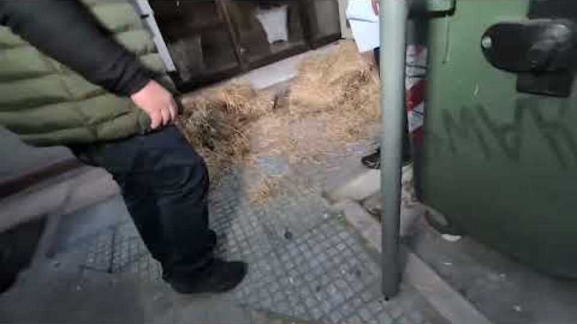 Αγρότες διαμαρτύρονται σε γραφεία βουλευτών στην Λάρισα