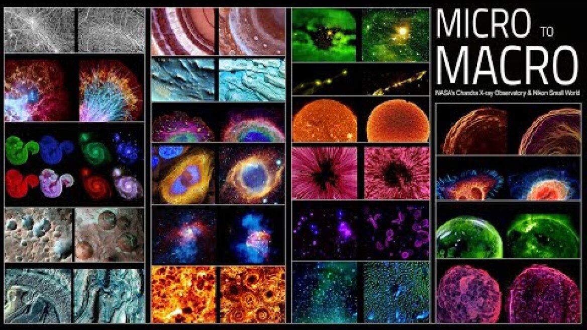 Micro to Macro: From the Extremely Big to the Incredibly Small